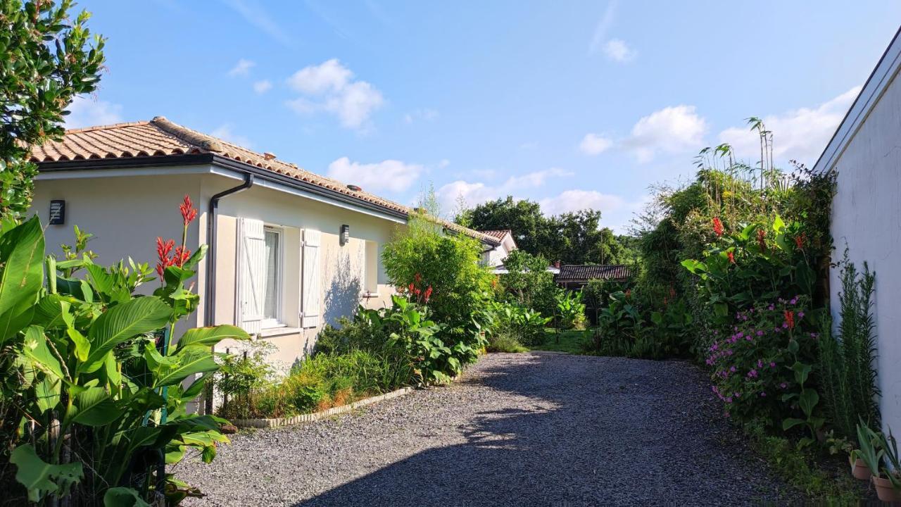 Maison Bassin D'Arcachon غوجان-ميستراس المظهر الخارجي الصورة